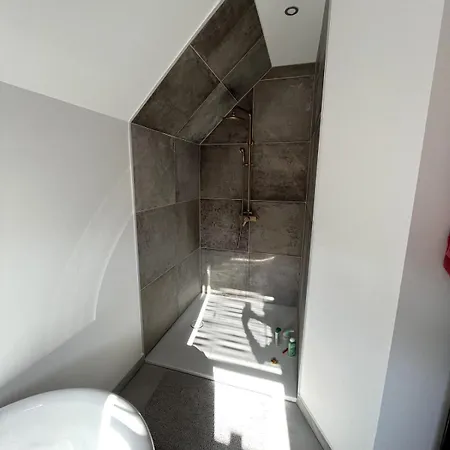 La Grange D'helene, Loft 4 Personnes A 15 Min De Strasbourg